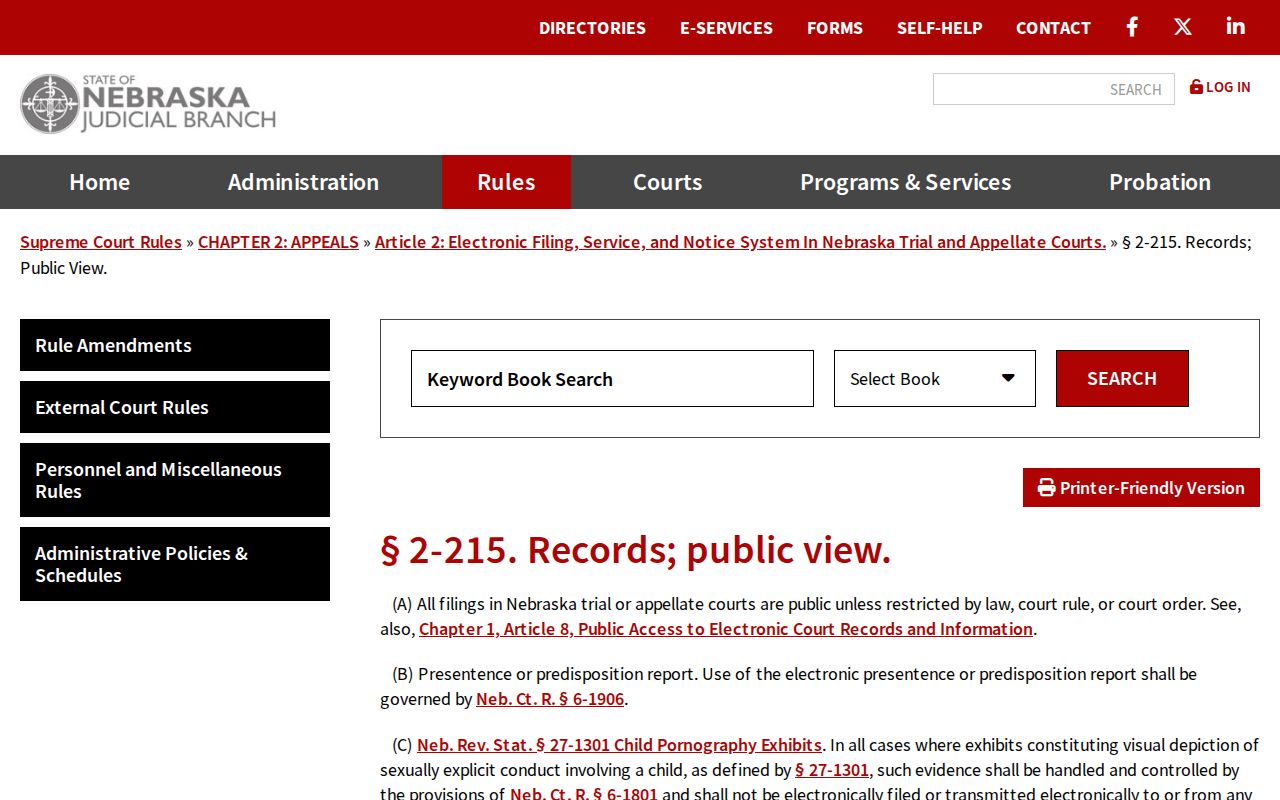 Gage County case lookup image about public viewing of electronic court filings