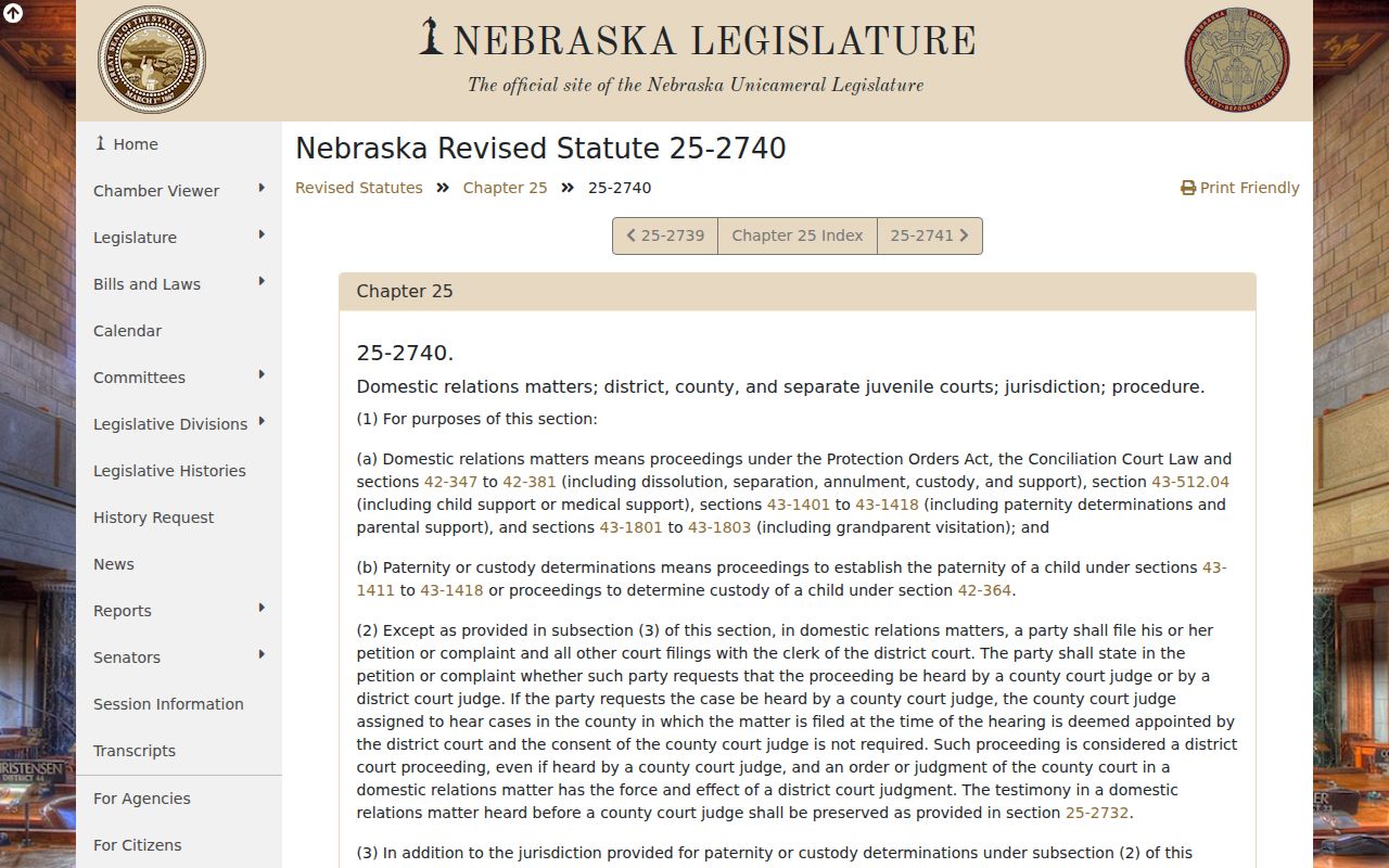 Gage County civil docket search image about District Clerk domestic-relations filing