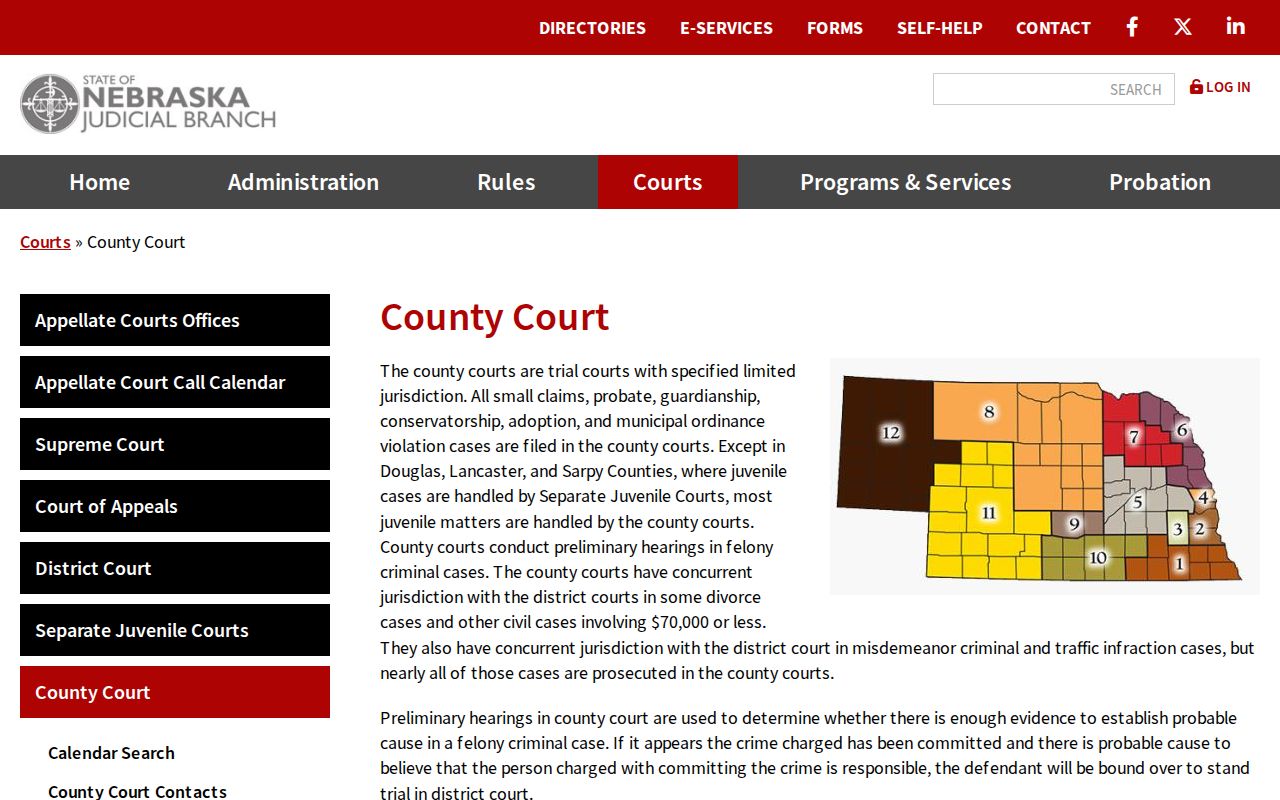 Gage County criminal docket search image showing Nebraska County Court jurisdiction
